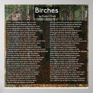 Birches by Robert Frost Complete Poem/Birkenwald Poster