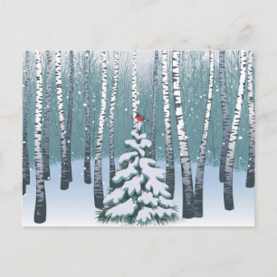 Birches In The Winter Forest Postcard