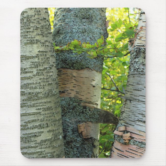 BirchTree Mouse Pad (Front)