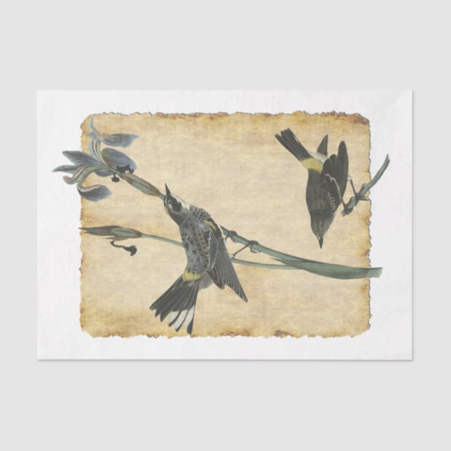 Bird 32 Decoupage Tissue Paper (Front)