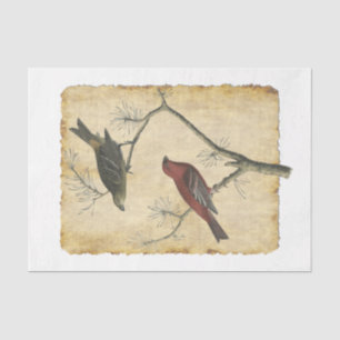 Bird 34 Decoupage Tissue Paper