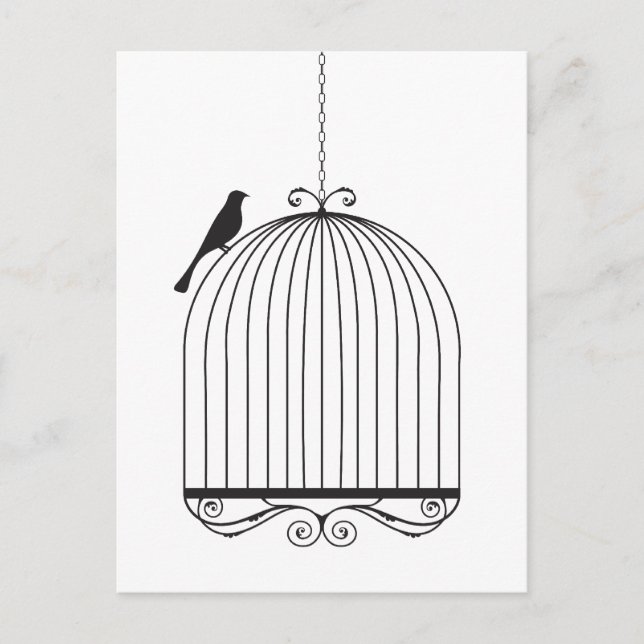 Bird and Birdcage Postcard (Front)