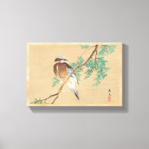 Bird and Flower, Eurasian Jay and Chinese Arborvit Canvas Print