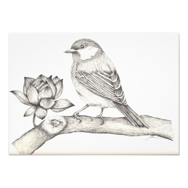 Bird and Flower Photo Print (Front)
