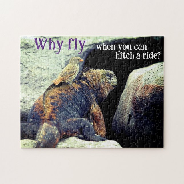 Bird and Marine Iguana Jigsaw Puzzle (Horizontal)