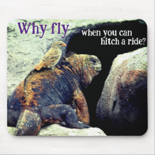 Bird and Marine Iguana Mouse Pad
