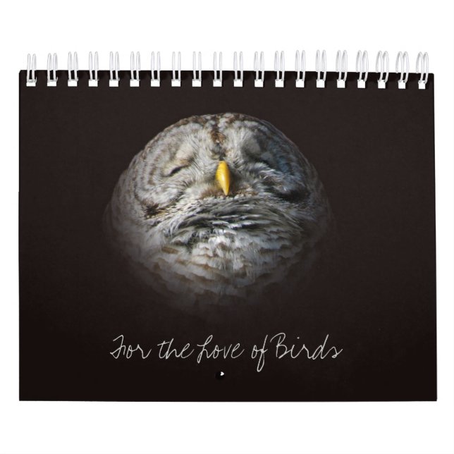 Bird and Owl Fine Art Photos Ontario Calendar (Cover)