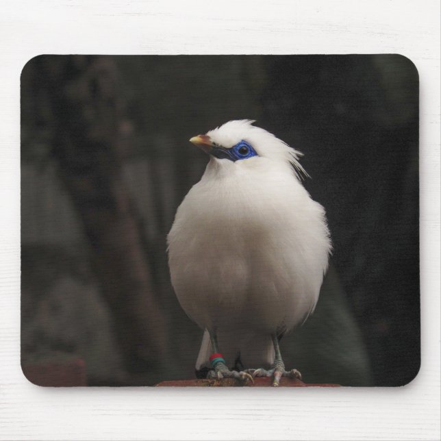 bird, animal, nature mouse pad (Front)