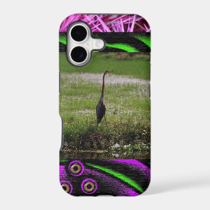 Bird Animals Nature Home Office Destiny'S Destiny