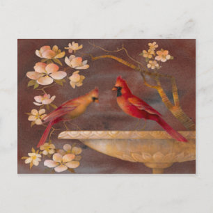 Bird Bath Postcard
