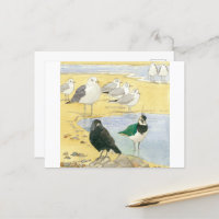 Bird Beach Wildlife Jackdaw Gull Sea Postcard