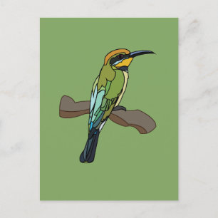 Bird Bee-Eater Bird  Postcard