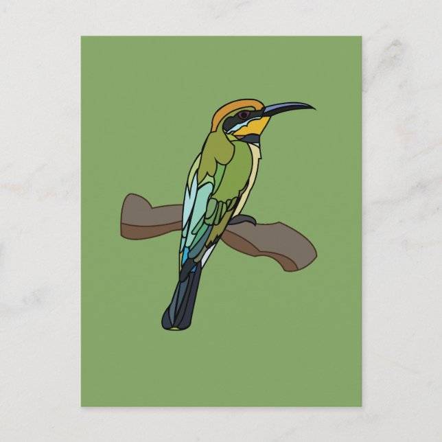 Bird Bee-Eater Bird  Postcard (Front)