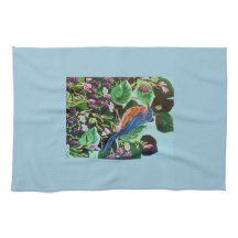 Bird, Birds and More Birds!