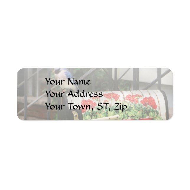 Bird - Blue Jay - Waiting for the mail (Front)