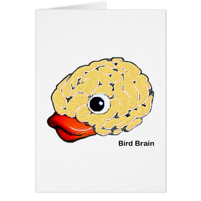 Bird Brain (Front)