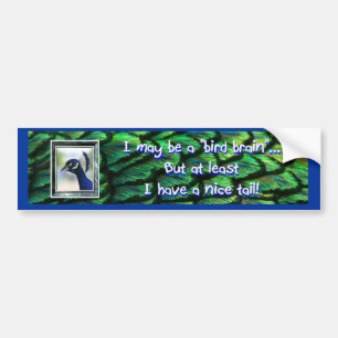 Bird Brain Bumper Sticker, Peacock framed head Bumper Sticker
