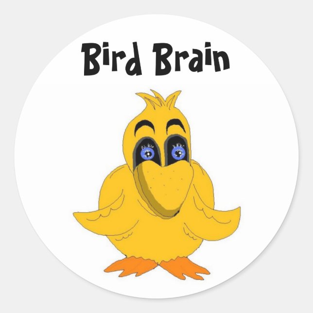 Bird Brain Funny Saying Classic Round Sticker (Front)