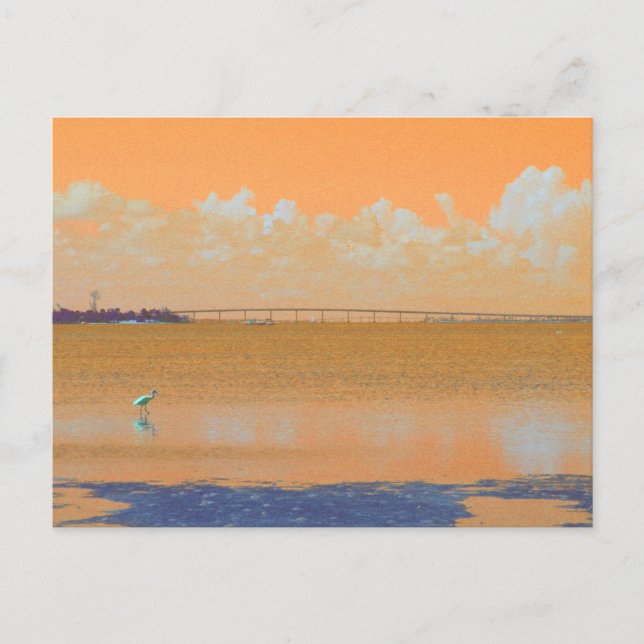 Bird Bridge Orange Blue River Florida Postcard (Front)