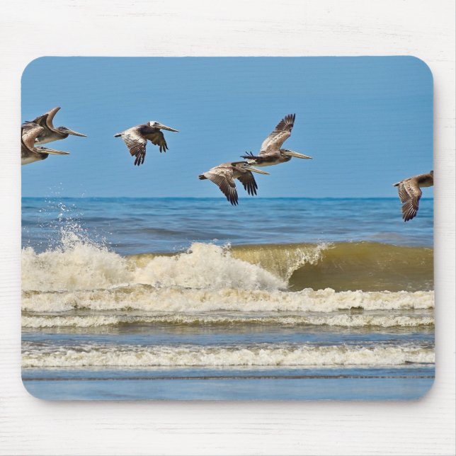Bird, brown pelican, wildlife mouse pad (Front)