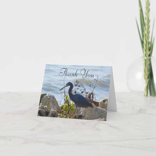 Bird By the Bay Little Blue Heron Bird Lovers  Thank You Card (Front)