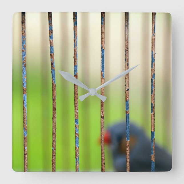 Bird, Cage, bars Square Wall Clock (Front)