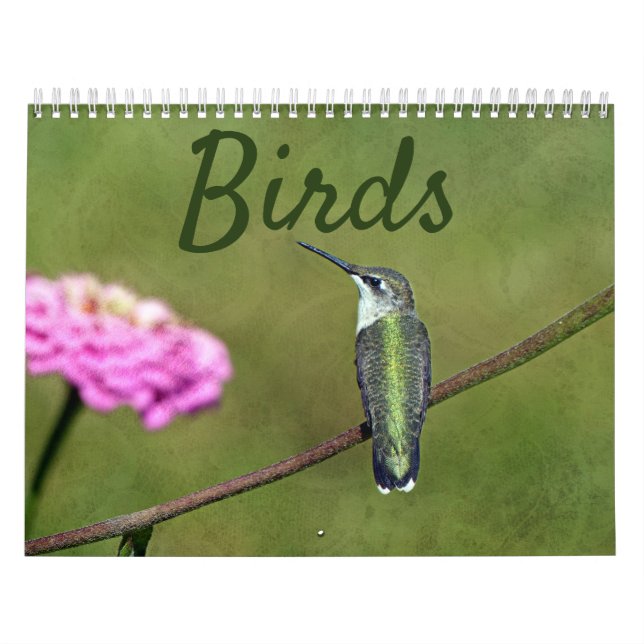 Bird Calendar (Cover)