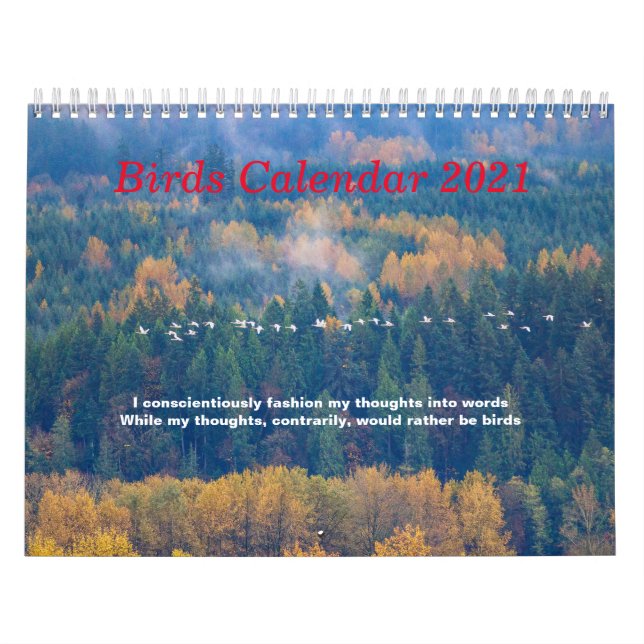 Bird Calendar (Cover)