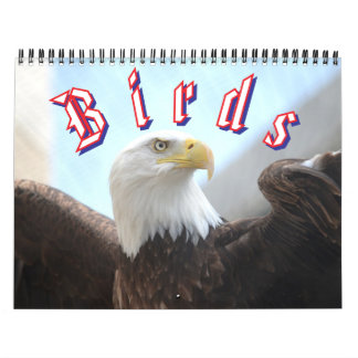 Bird Calendar