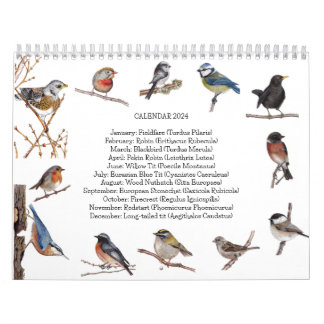 Bird Calendar 2024