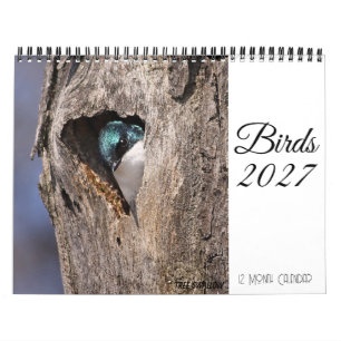 Bird Calendar 2027