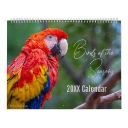Bird Calendar Pick Your Start Month / Year