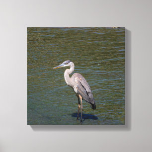 Bird Canvas Print