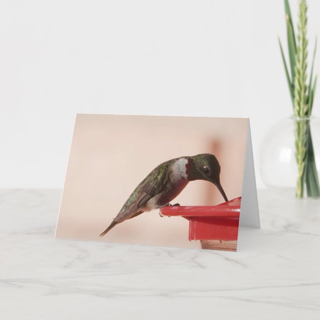 Bird Collection: Hummingbird (blank notes) Card (Front)