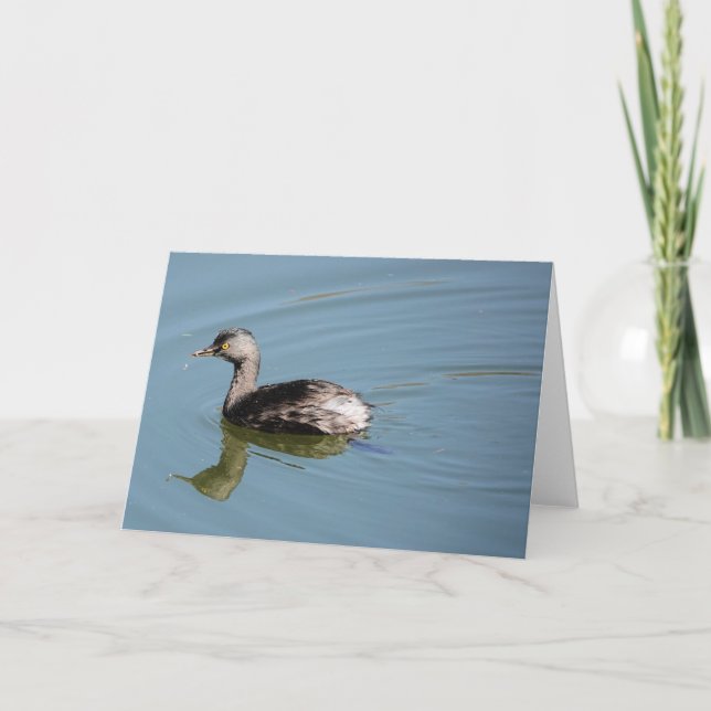 Bird Collection: Least Grebe (blank notes)  Card (Front)