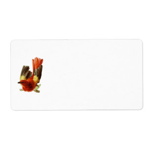 Bird Collection-Name Tag