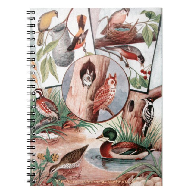 "Bird Combo" Spiral Notebook (Front)
