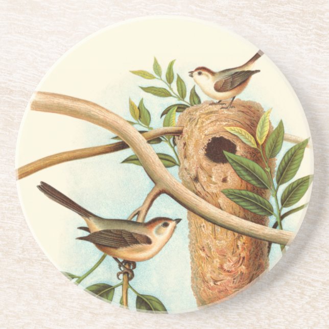 Bird Couple on a Nest Perched on a Branch Coaster (Front)