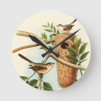 Bird Couple on a Nest Perched on a Branch