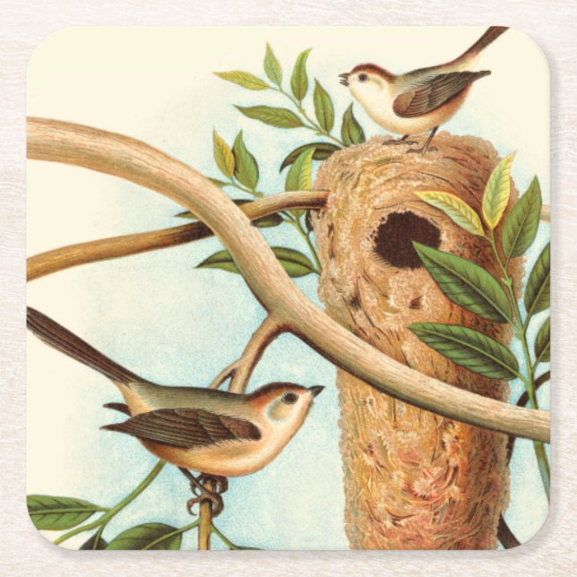 Bird Couple on a Nest Perched on a Branch Square Paper Coaster (Front)