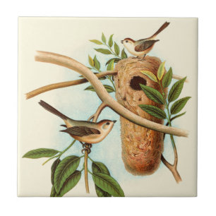 Bird Couple on a Nest Perched on a Branch Tile