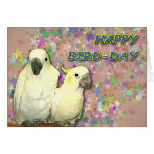 Bird Day