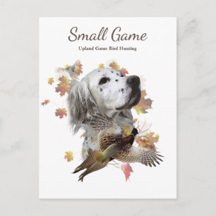 Bird dog , Upland Game Bird Hunting Postcard