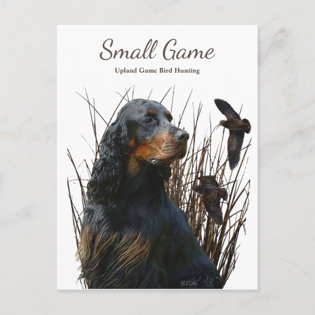 Bird dog , Upland Game Bird Hunting Postcard (Front)