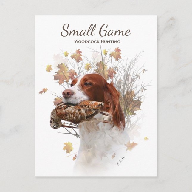 Bird dog , woodcock hunting postcard (Front)