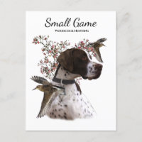 Bird dog , woodcock hunting