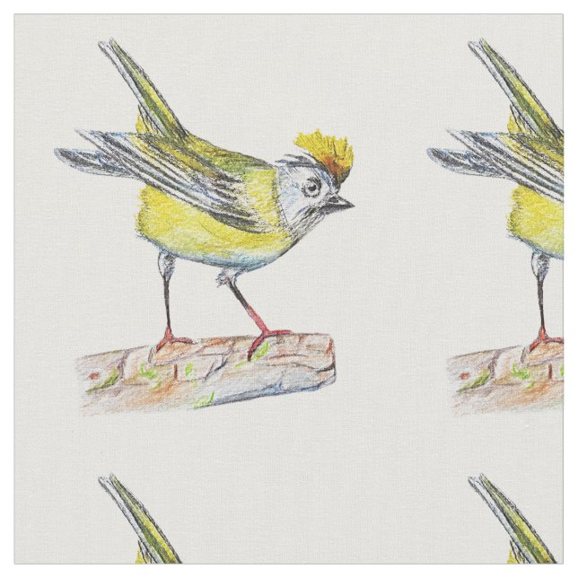 Bird Drawing  Combed Cotton (56" width) Fabric (Close Up)