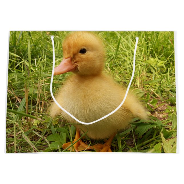 bird, duck, duckling, yellow, nature, cute, baby, large gift bag (Front)