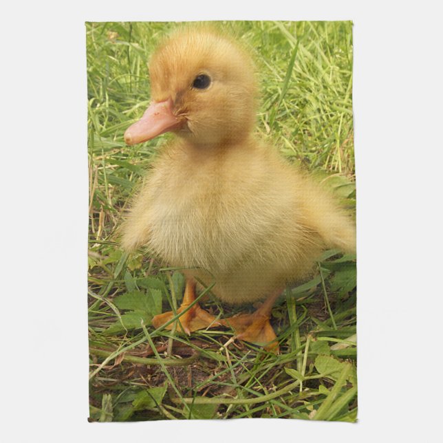 bird, duck, duckling, yellow, nature, cute, baby, tea towel (Vertical)