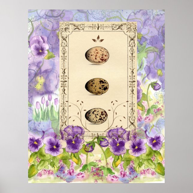 Bird Eggs Watercolor Flower Pansies Collage Art Poster (Front)